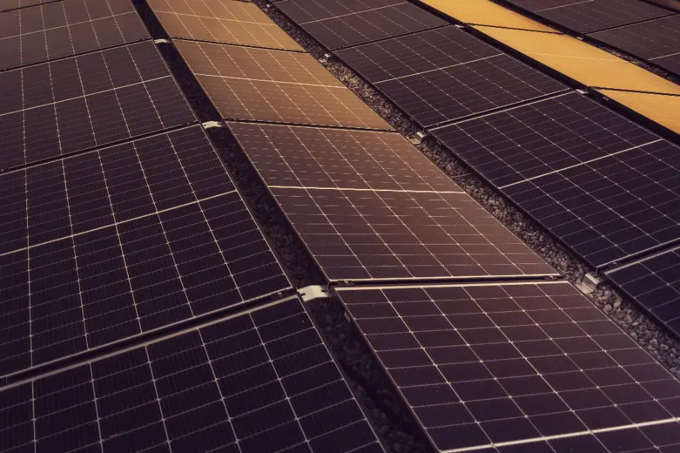 Leadership hire for a renewable energy platform in the Philippines